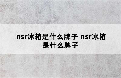 nsr冰箱是什么牌子 nsr冰箱是什么牌子